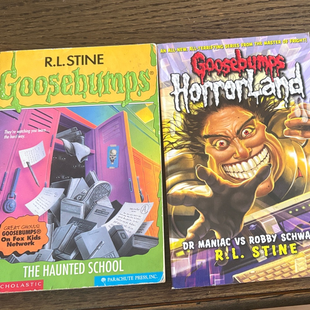 Kids Book Set - The Haunted School & HorrorLand